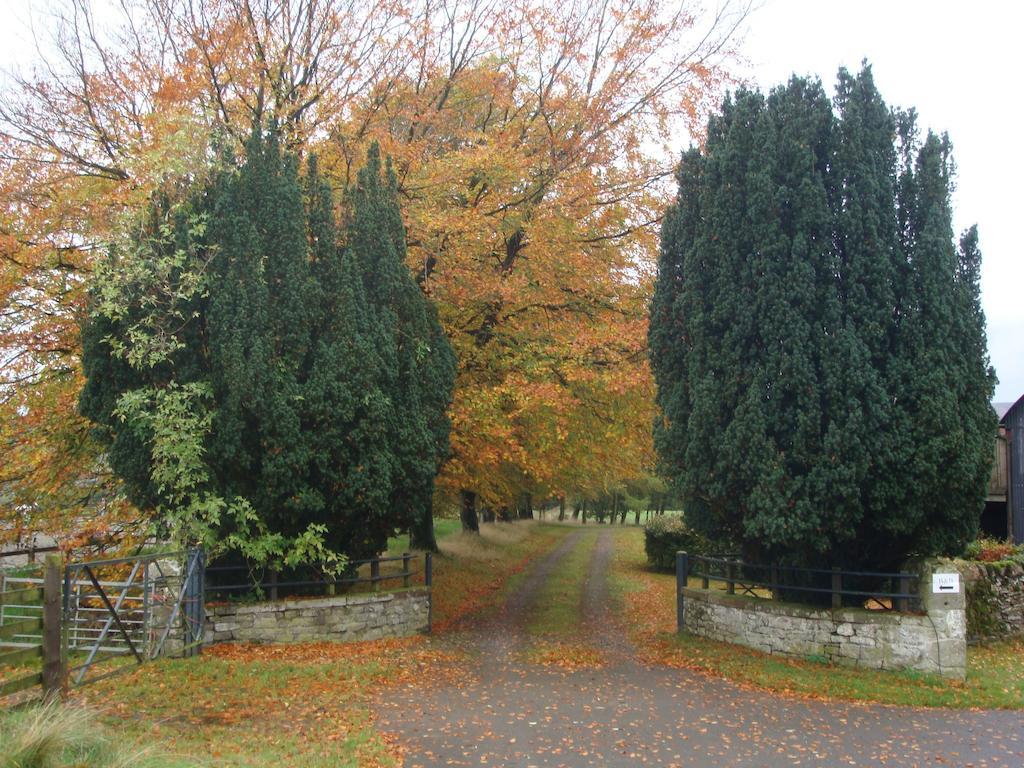 Abbotshaw House Farm B&B Newcastleton Экстерьер фото